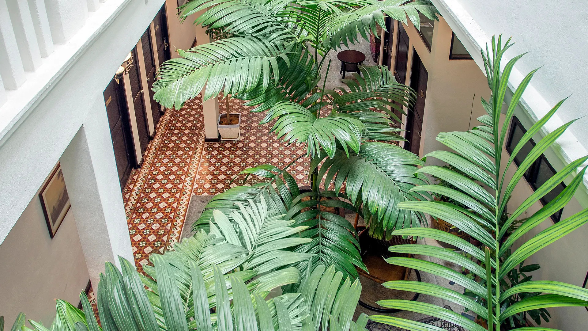 Areca Hotel Penang George Town